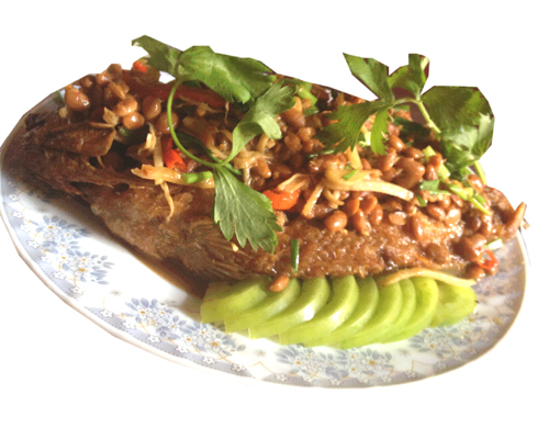 Photo Galleries Photo Galleries about food